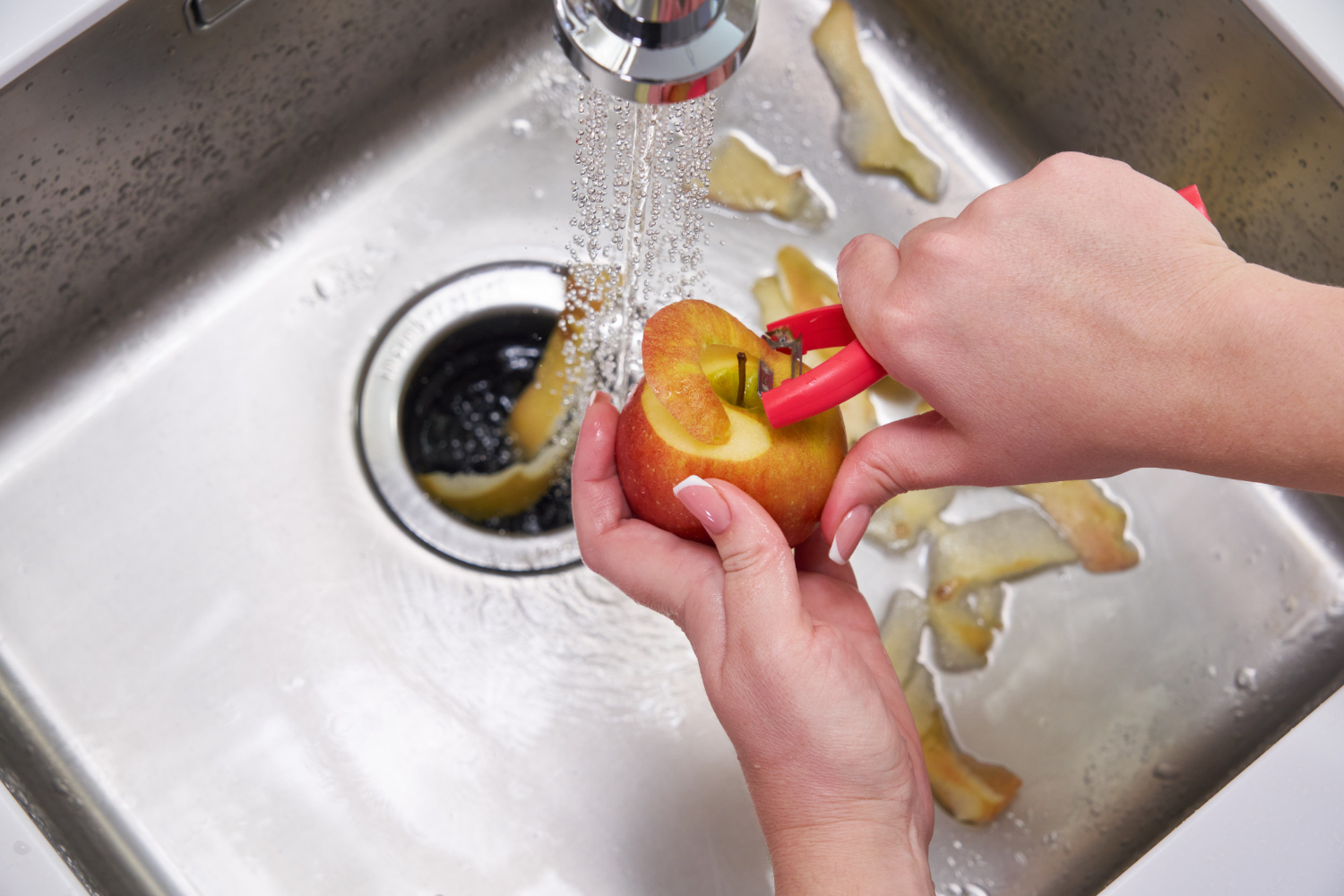 sink garbage disposal