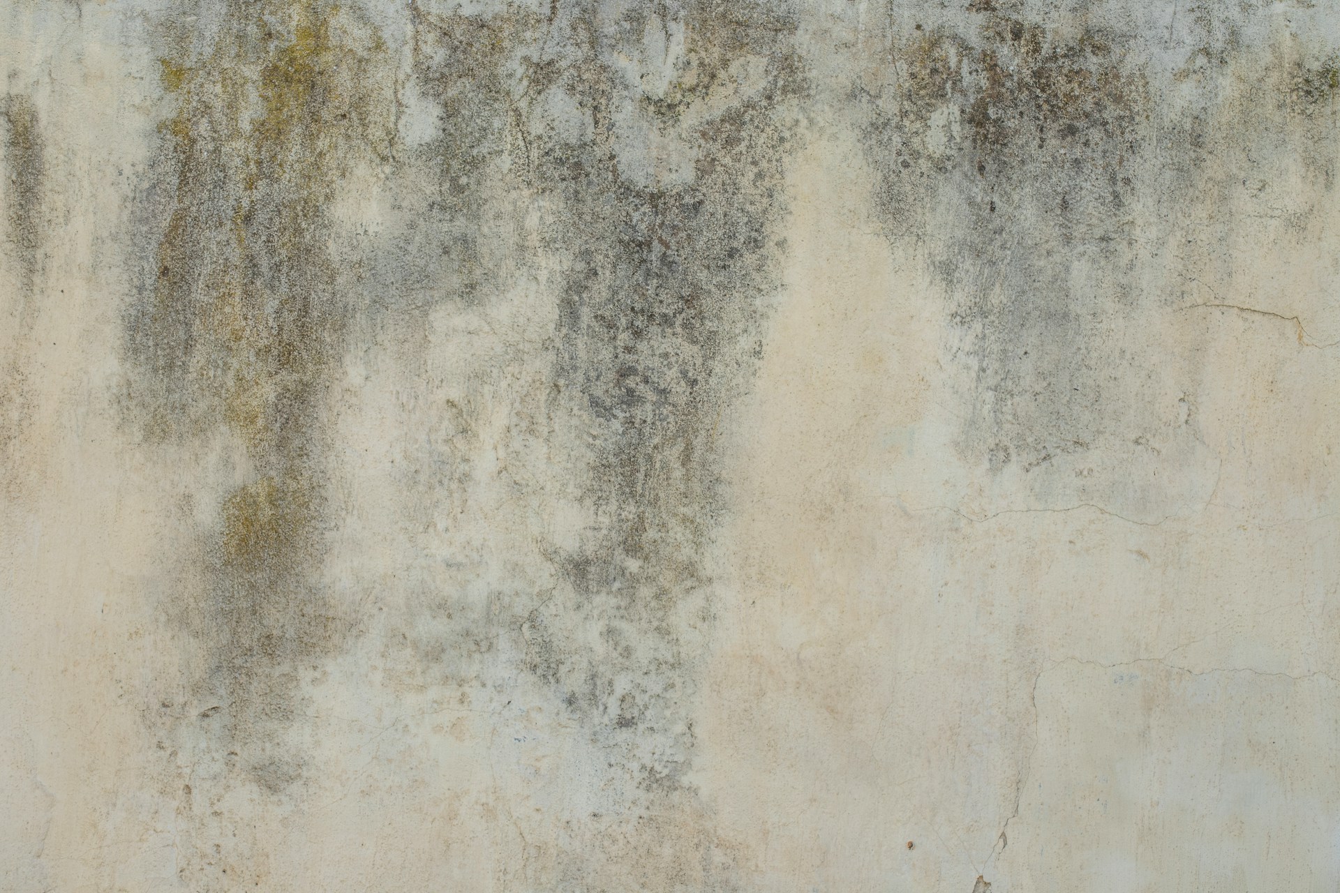 foundation with molds